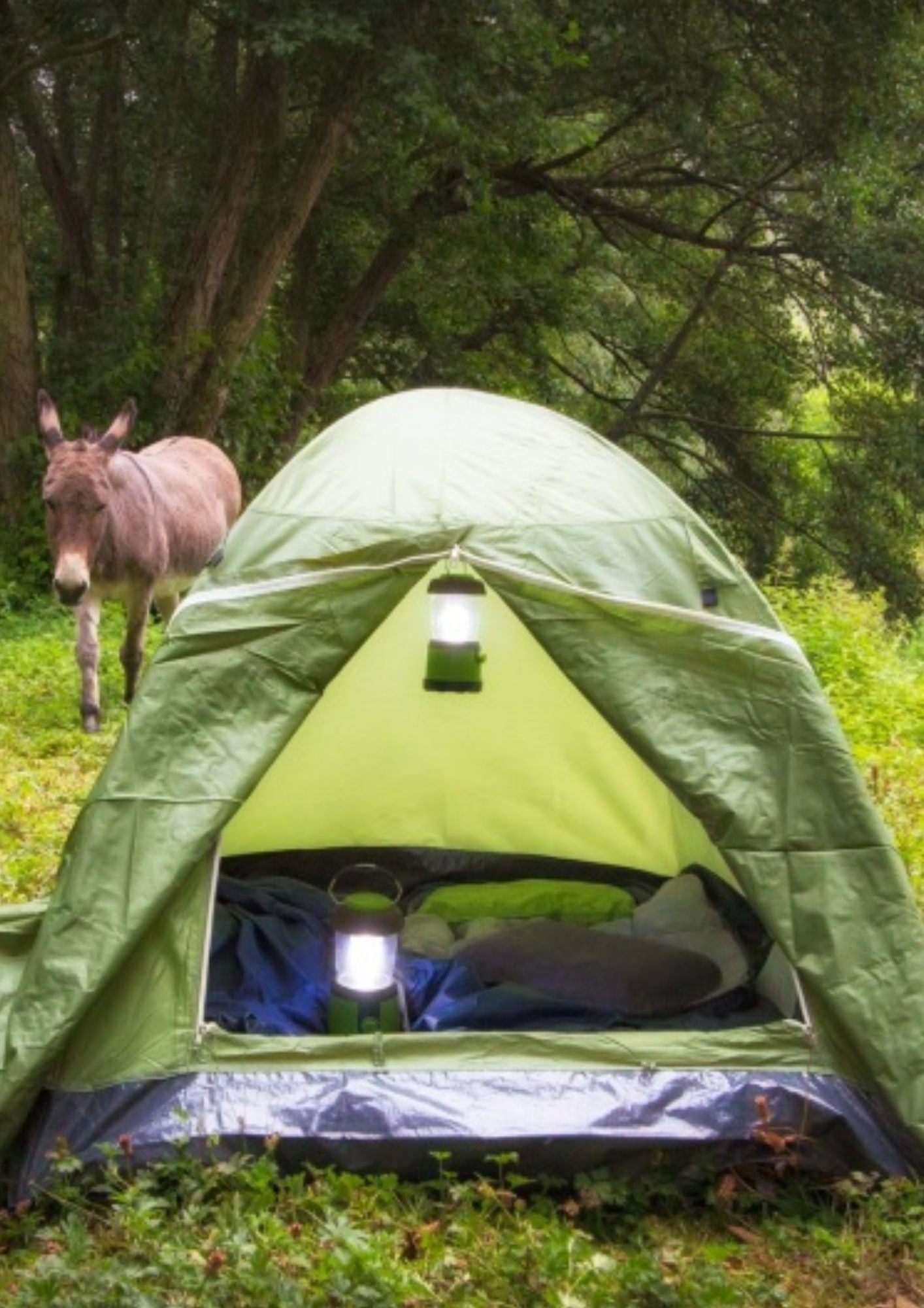 Double-skin dome tent