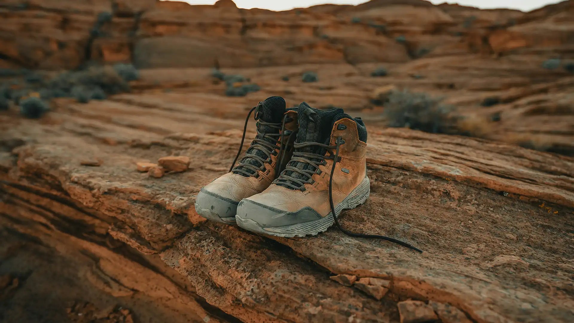 Quelle paire de chaussure choisir pour son chemin ?