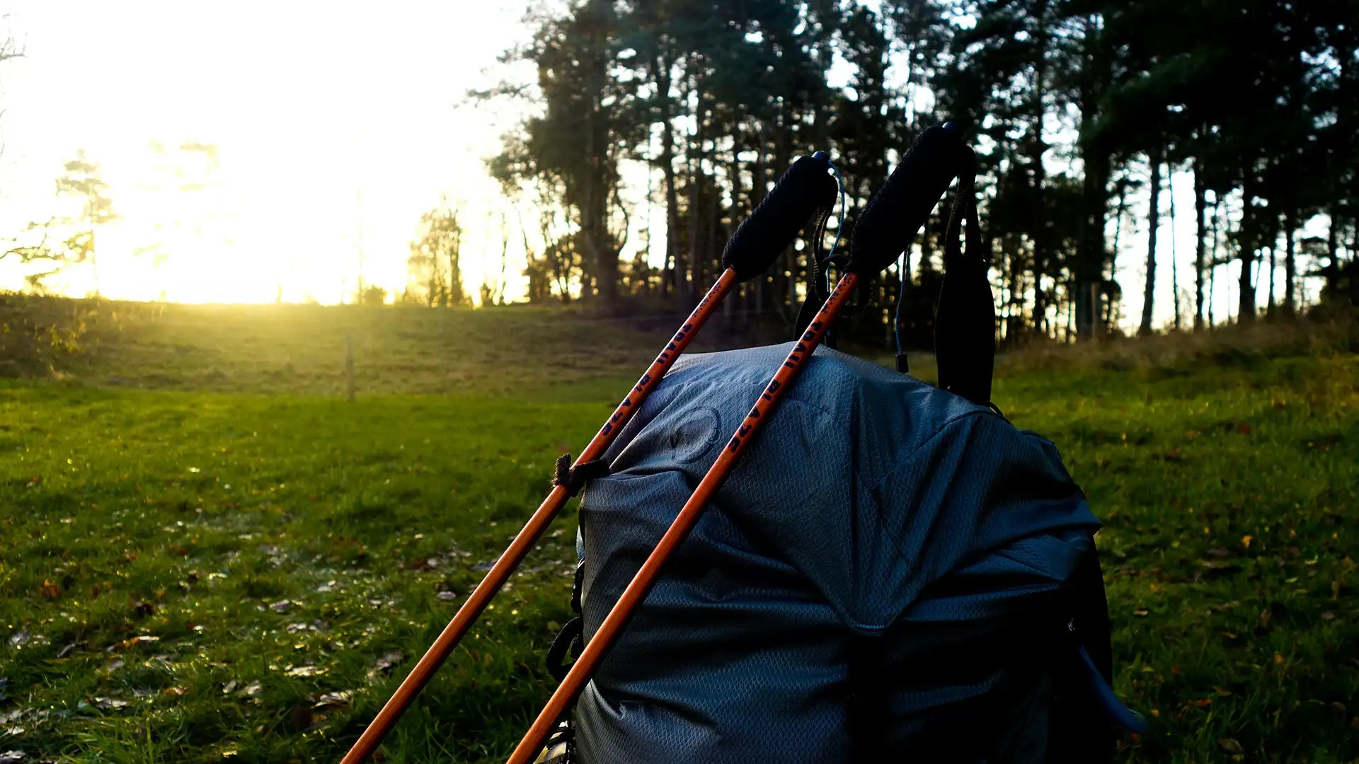 Bâtons de randonnées